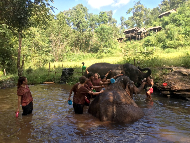 Bath Time, The Karen Elephant Experience at Elephant Nature Park